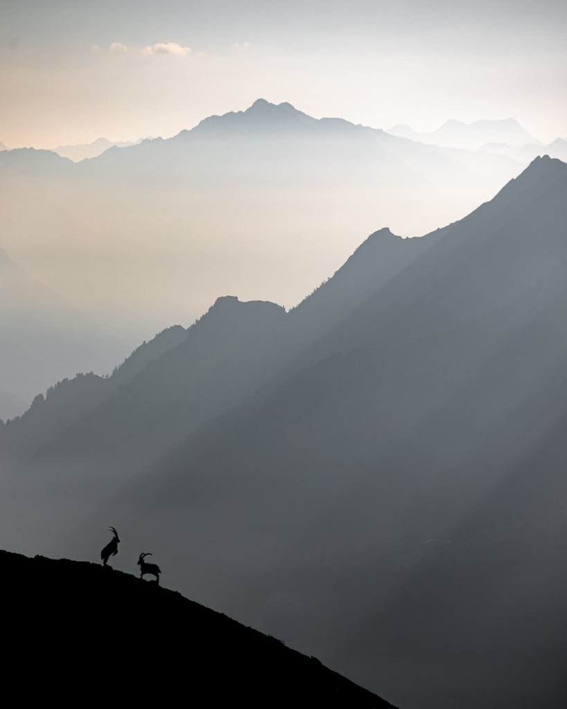Switzerland Rams Peaks and Packs | Adventure Travel, Hiking Guides & Points-Based Travel ...